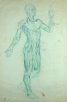 Green-Ana-man-for-web