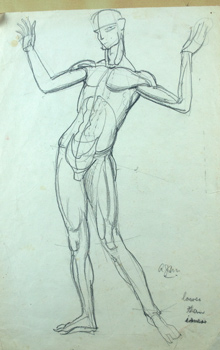 Male-figure-for-web