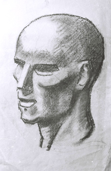 Shaded-head-for-web
